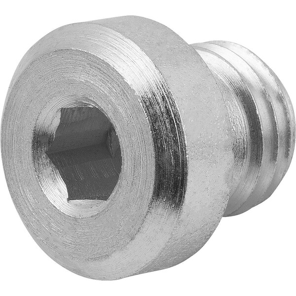 Kipp Screw plug, 1/2 in Dia, Steel Zinc plated K1102.27012 Zoro